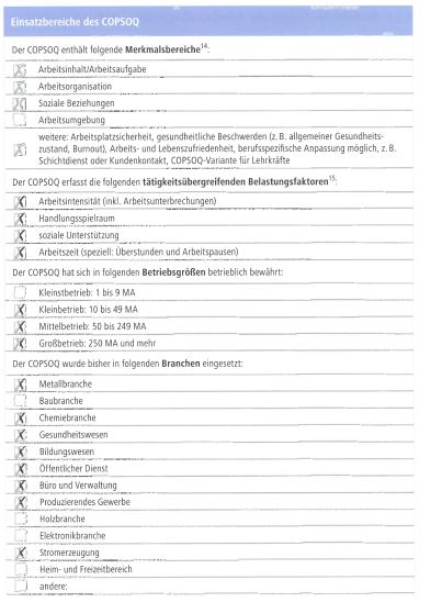 Psyche, psychische Gefährdungsbeurteilung, BGM, Arbeitsschutz, Belastung, Beanspruchung, Belastungsfaktoren, baua, Fragebogen COPSOQ, COPSOQ